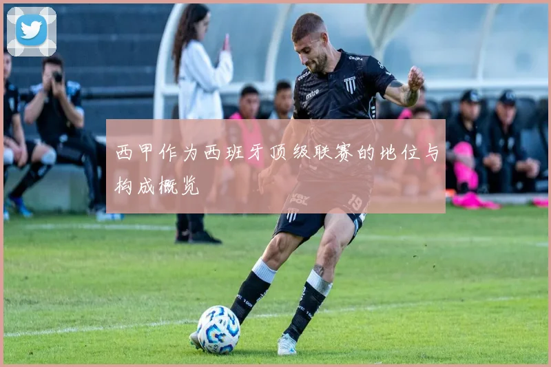 西甲作为西班牙顶级联赛的地位与构成概览