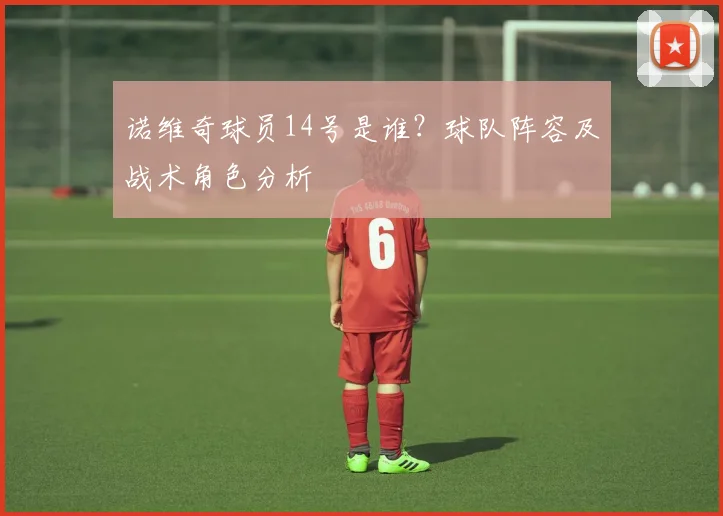 诺维奇球员14号是谁?球队阵容及战术角色分析