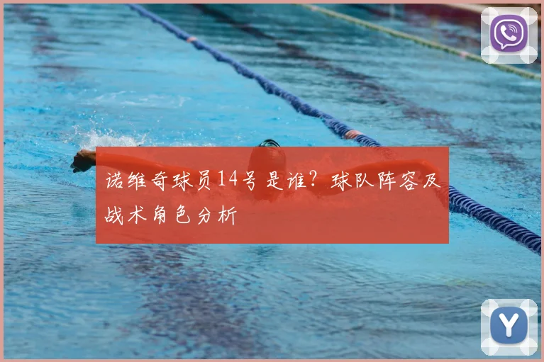 诺维奇球员14号是谁?球队阵容及战术角色分析