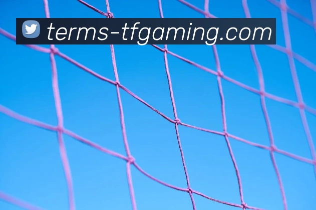 雷火电竞APP平台生态图